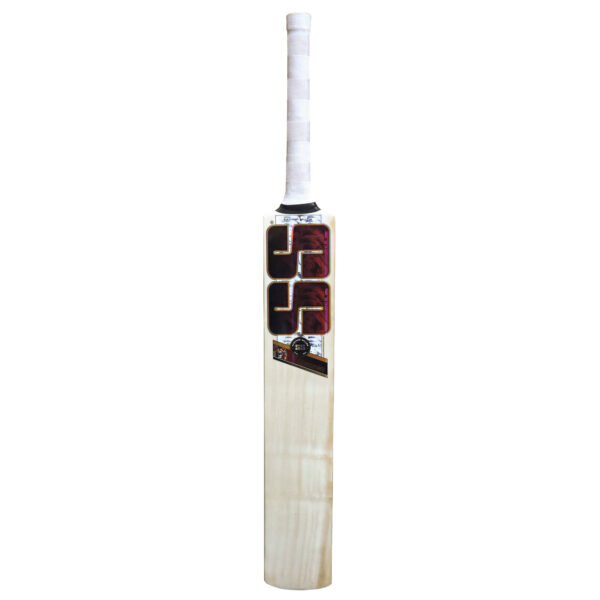 SS Ton Cricket Bat