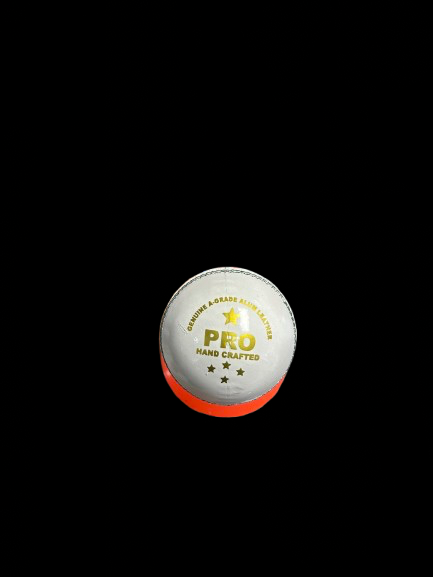 RNS PRO - Image 3