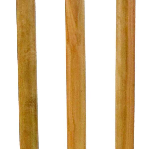 WOODEN STUMPS SPRING BACK