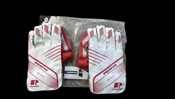 PROTUS SELECT - Image 2